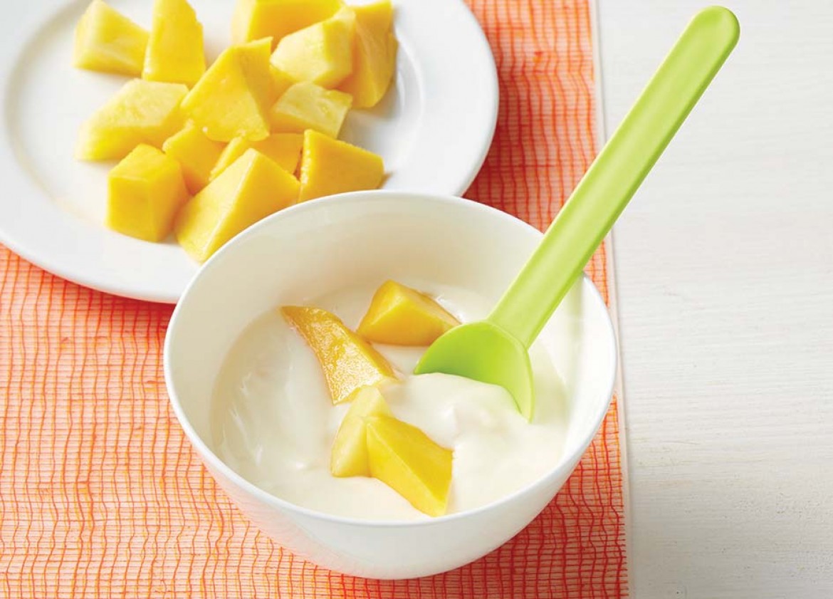 YOGHURT